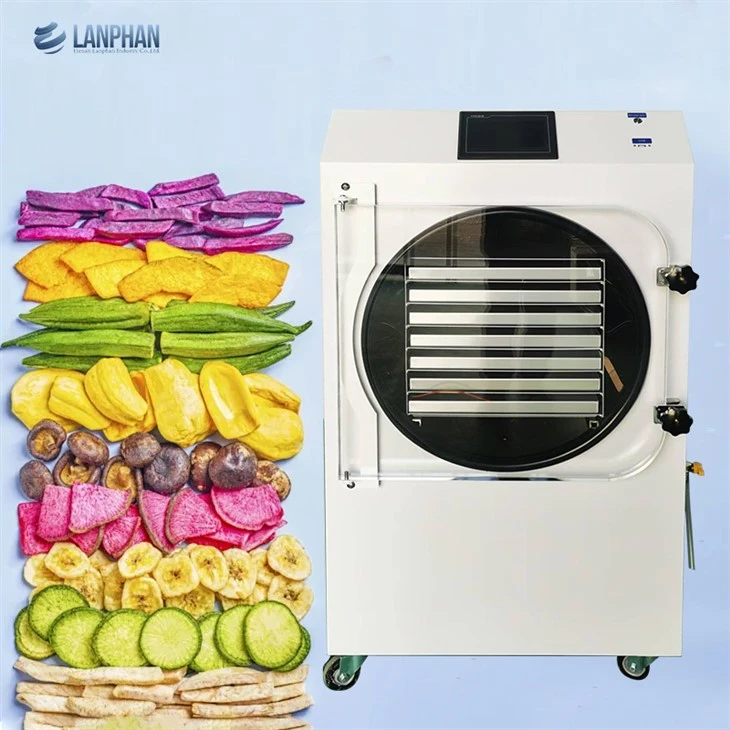 Machine de lyophilisation de fruits
