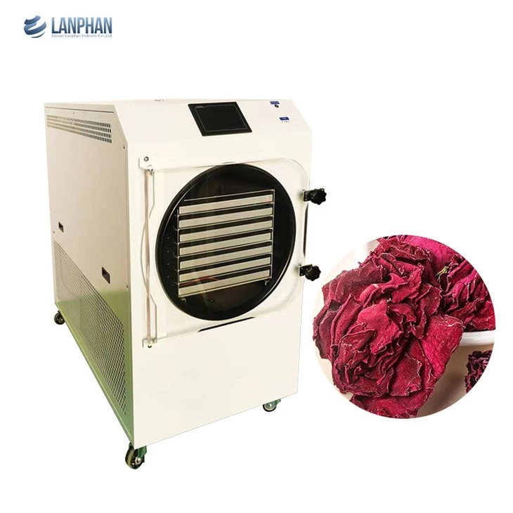 Freeze Dryer Machine For Home Use Food factory