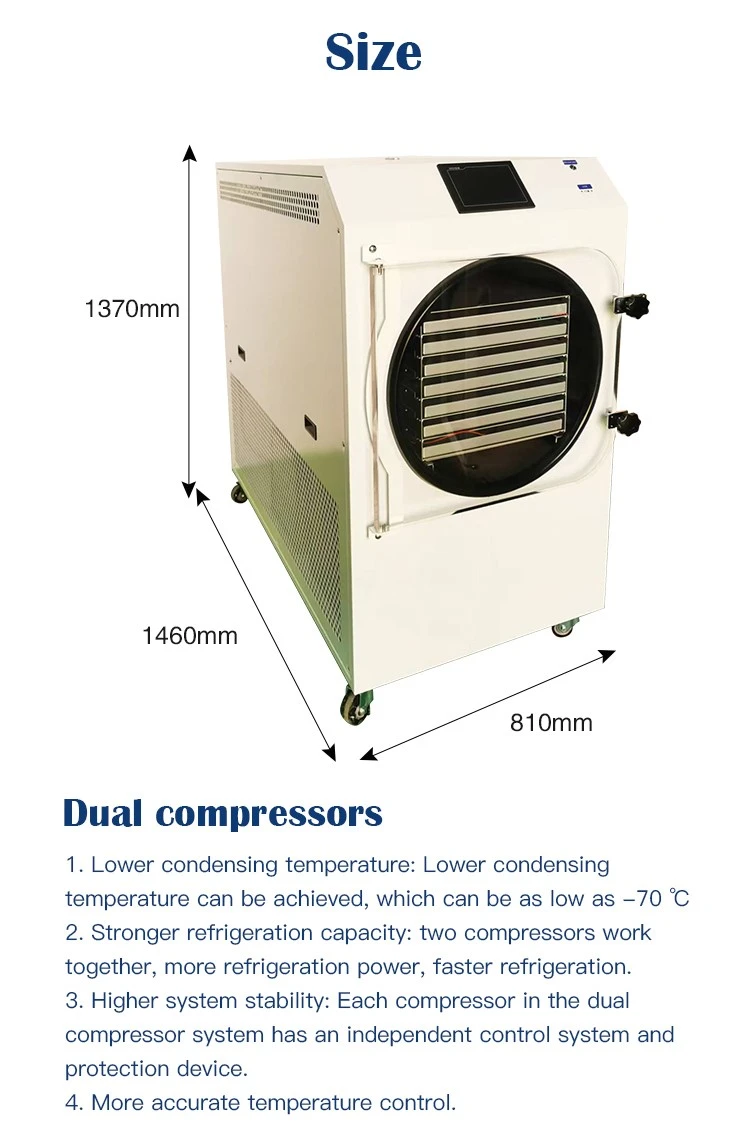 Fruit Freeze Dryer Machine Size Fruit Freeze Dryer Machine Size