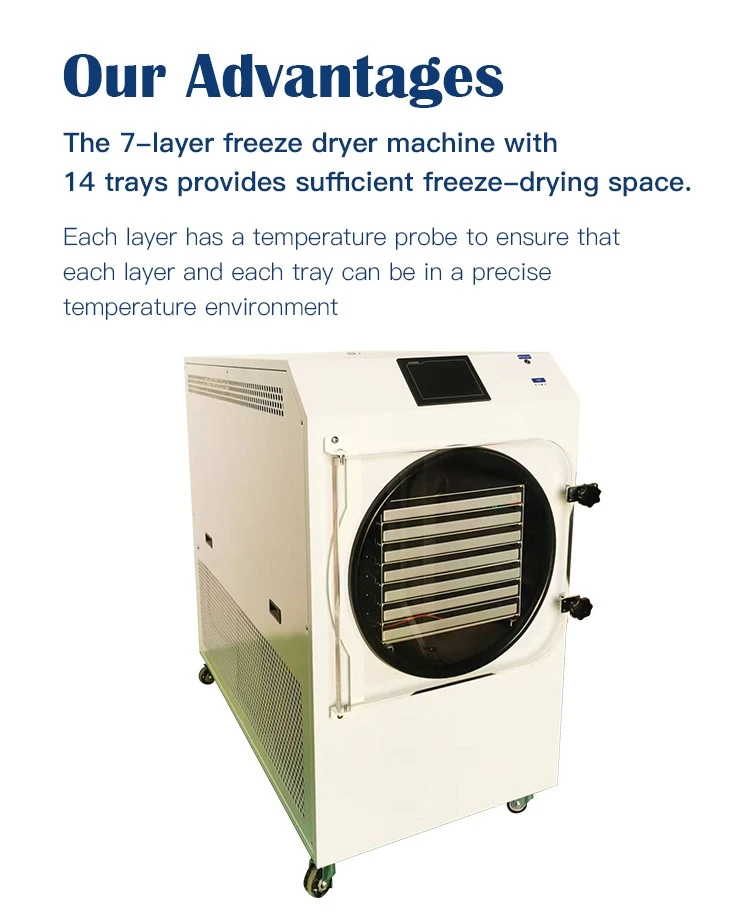 Fruit Freeze Dryer Machine Advantage Fruit Freeze Dryer Machine Advantage